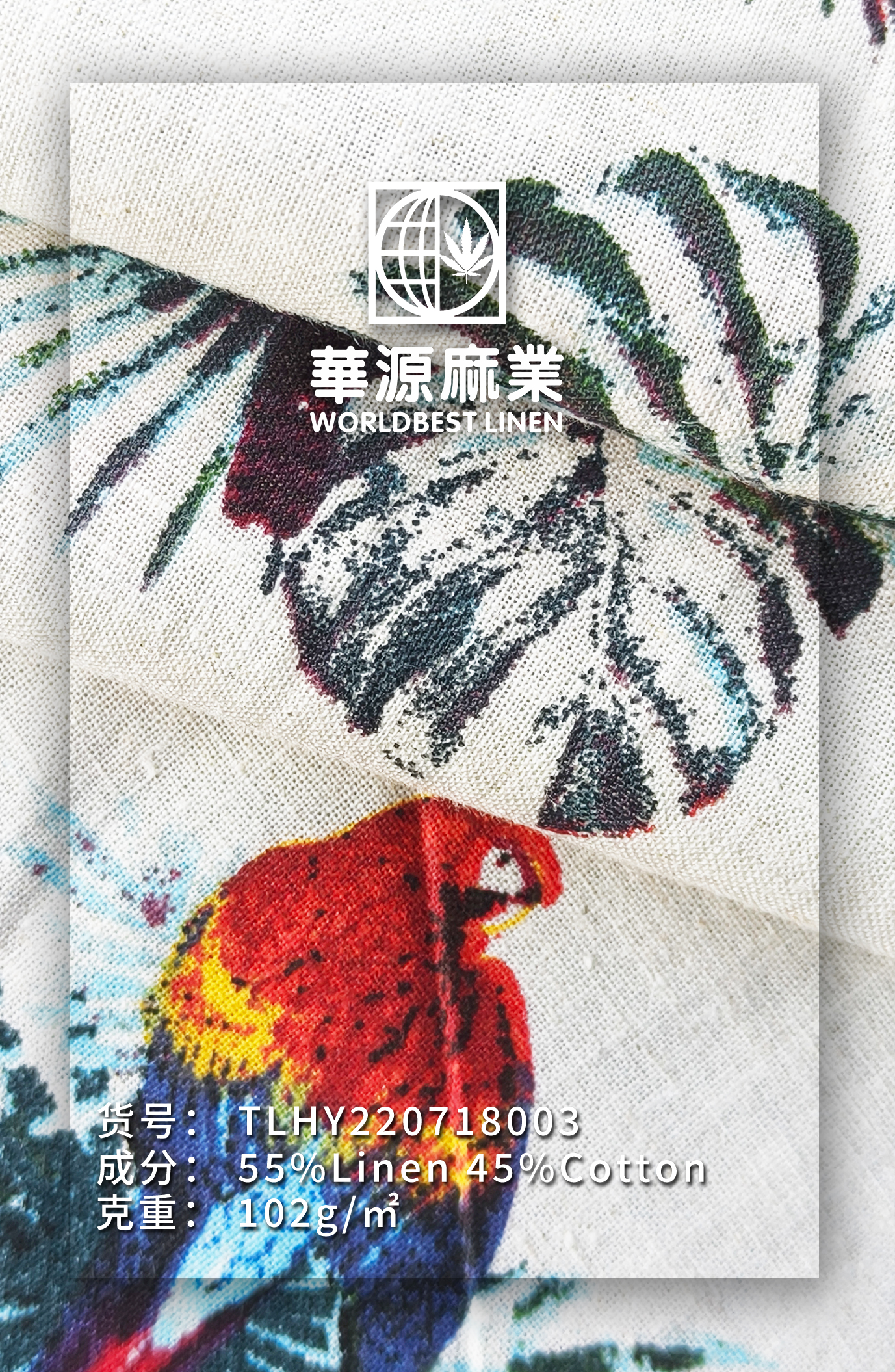 小鳥新.jpg