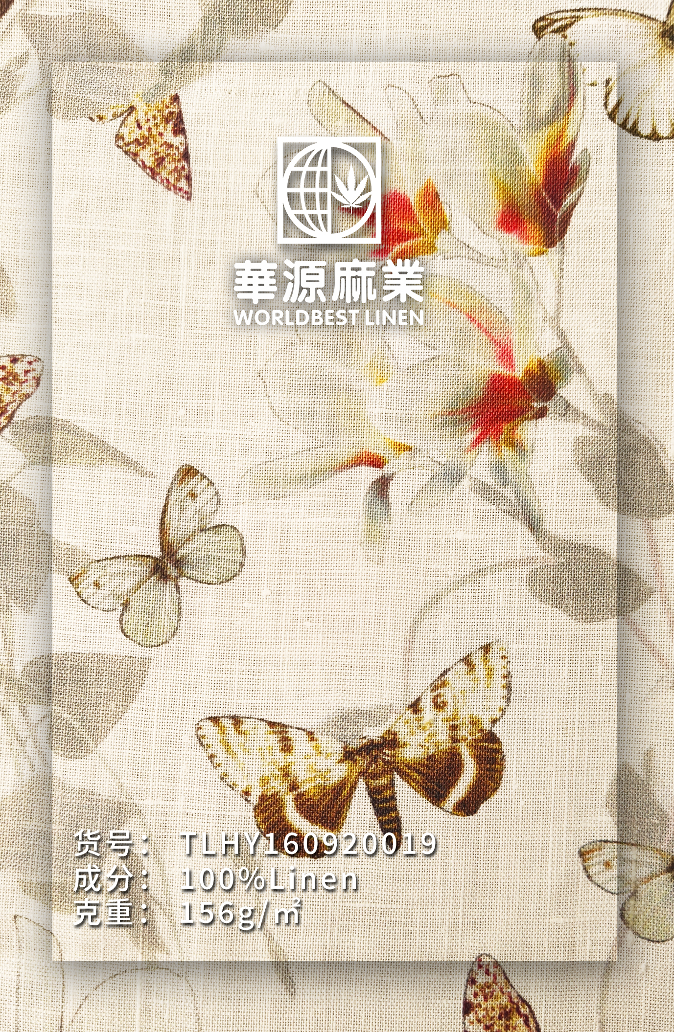 蝴蝶新.jpg