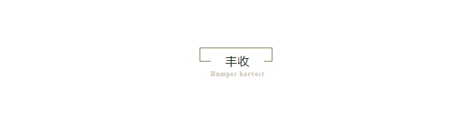 12.png