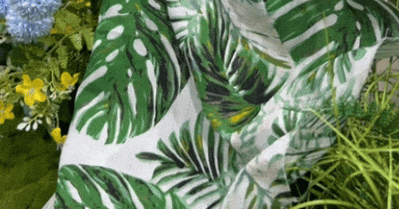 6.gif