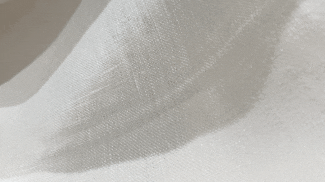 19.gif