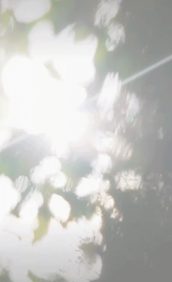 3.gif