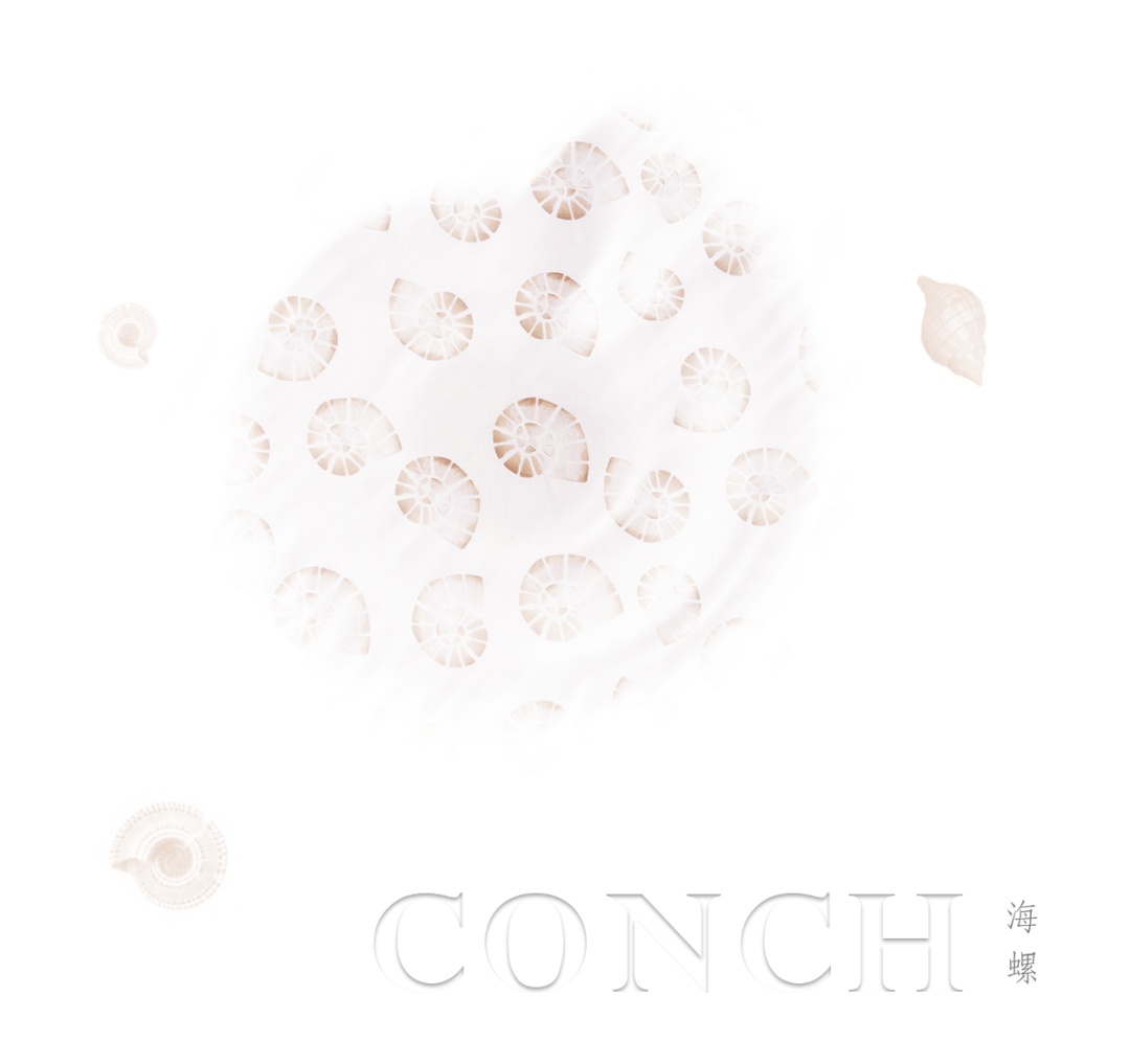 11.png